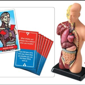 img 20250617 wa0017.jpg