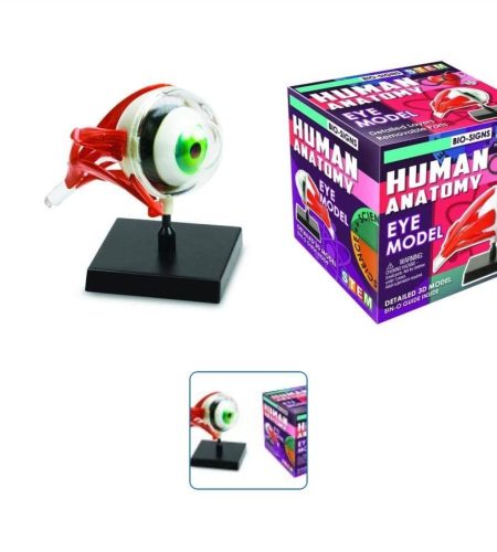 About img 20250617 wa0014