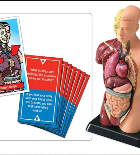 About img 20250617 wa0017